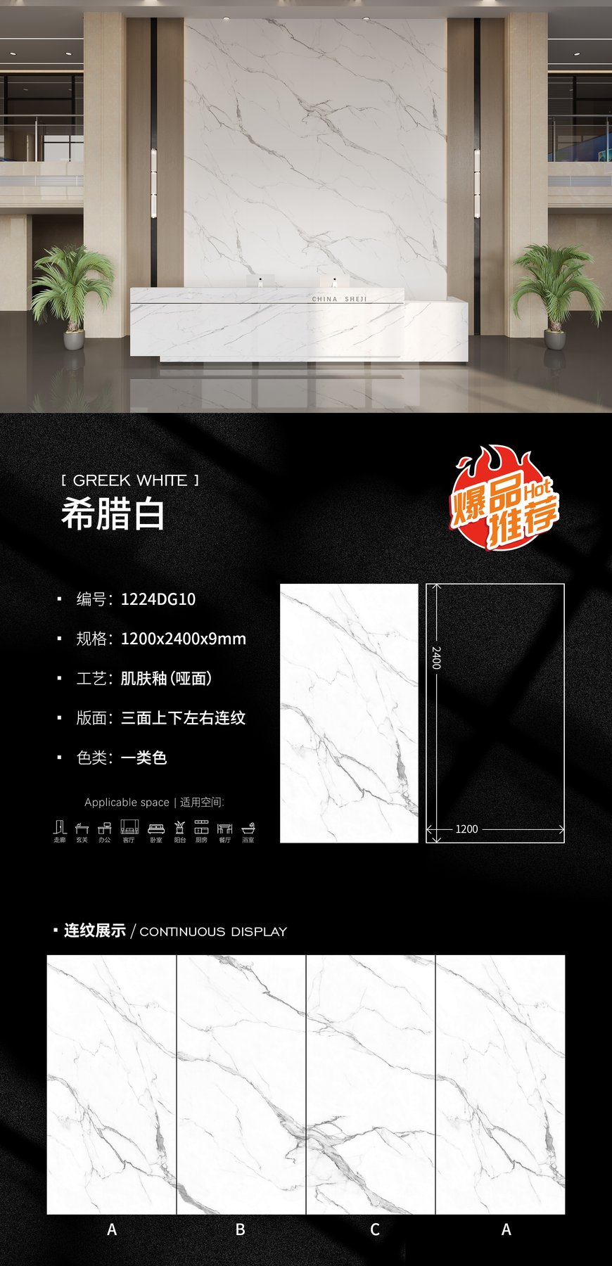 1224DG10 · 1200×2400 mm · 9 mm · Matte sintered stone