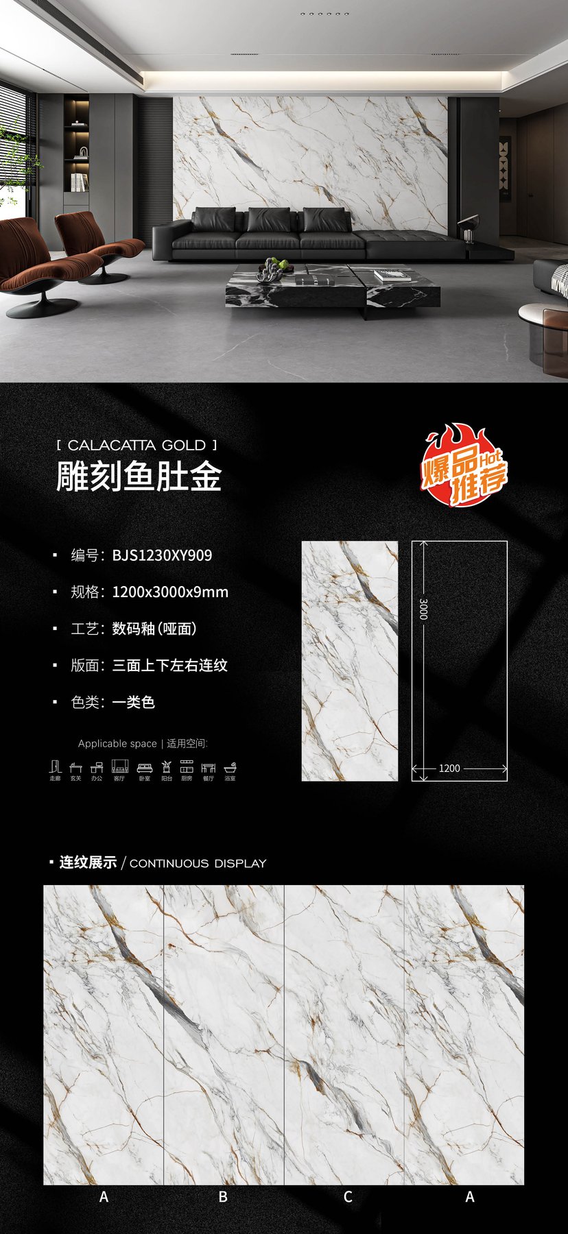 BJS1230XY909 · 1200×3000 mm · 9 mm · Matte sintered stone