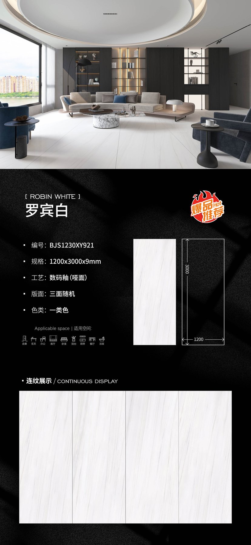 BJS1230XY921 · 1200×3000 mm · 9 mm · Matte sintered stone