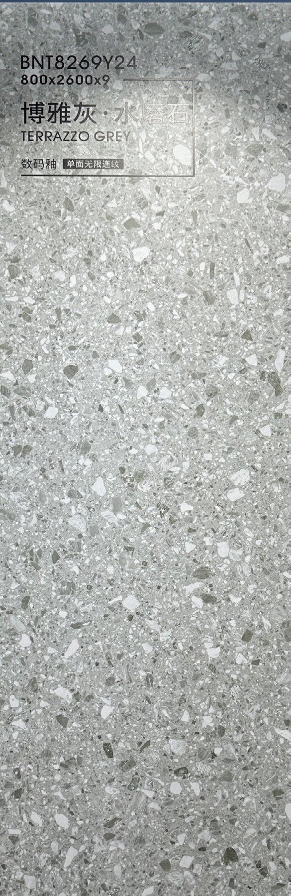 BNT8269Y24 · 800×2600 mm · 9 mm · Matte sintered stone