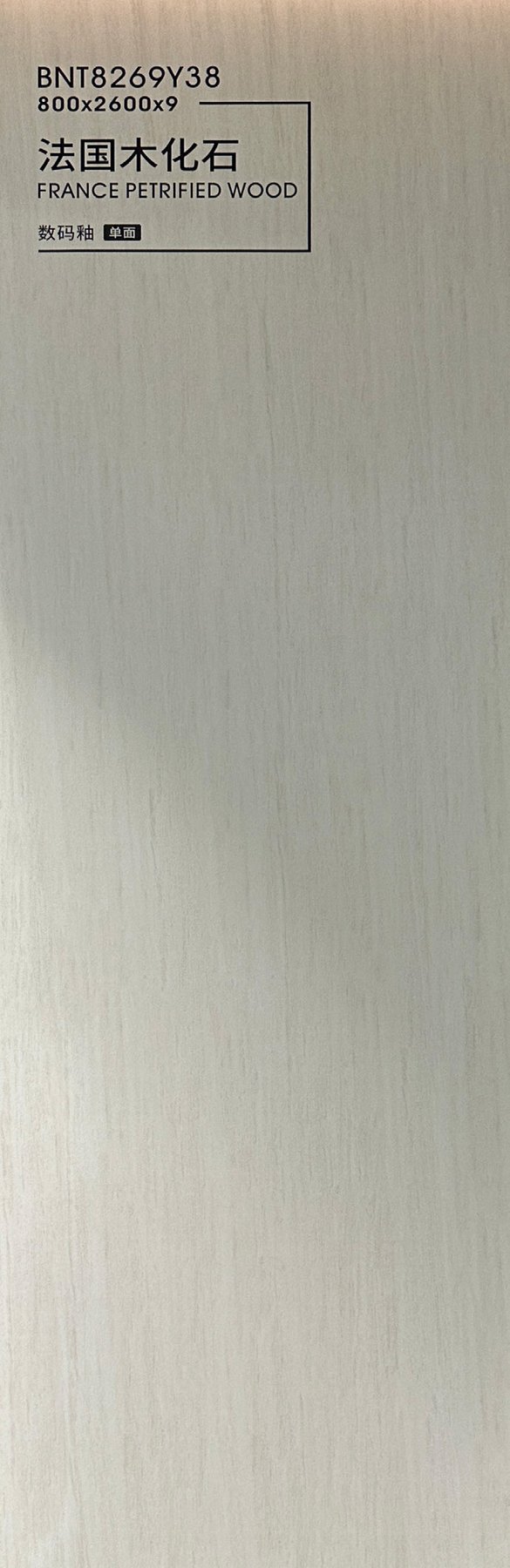 BNT8269Y38 · 800×2600 mm · 9 mm · Matte sintered stone