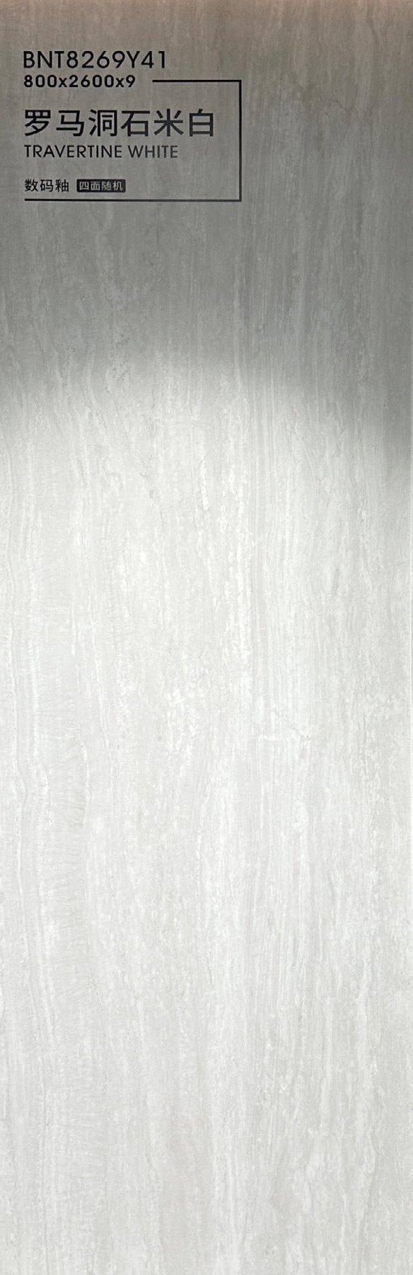 BNT8269Y41 · 800×2600 mm · 9 mm · Matte sintered stone
